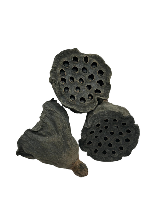 Medium Lotus Pod - 3Pk